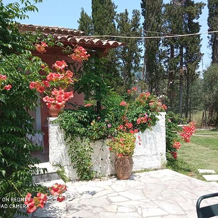 Ferienwohnung Errika Ypsos Exterior foto