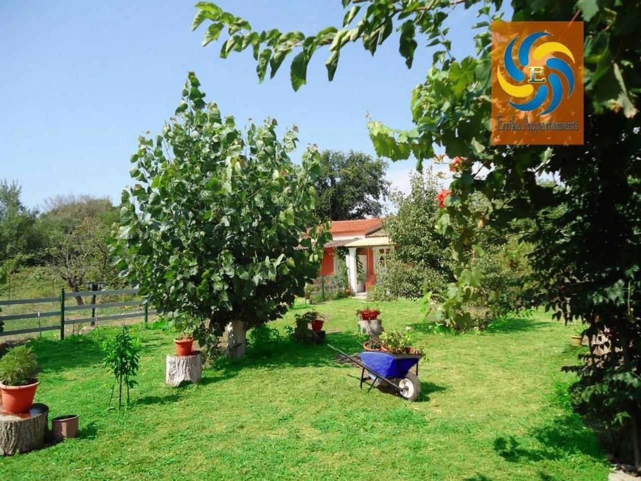 Ferienwohnung Errika Ypsos Exterior foto